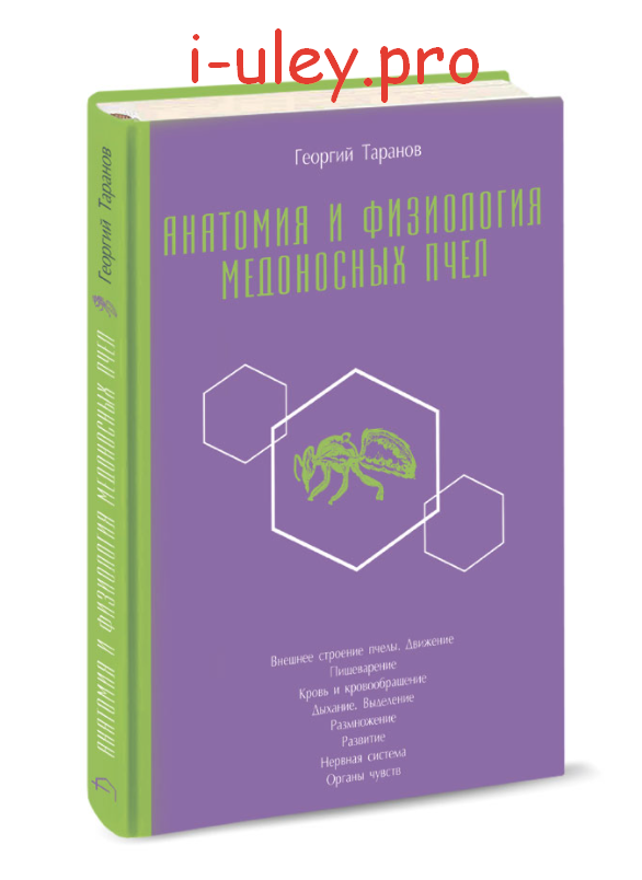Книга Таранов "Анатомия пчелиной семьи"